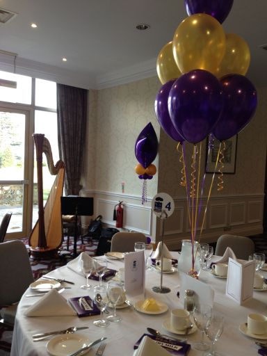 Celebrating Cadbury's with Meredith's Harp Music