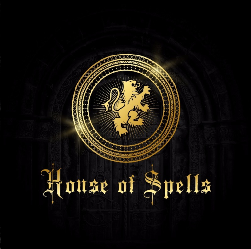 harry potter shop