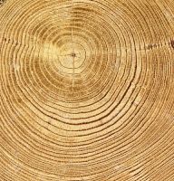 Oak Parquet Flooring