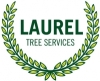 Laurel Tree Services