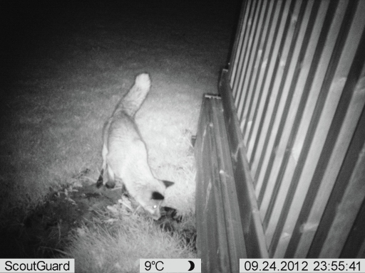 image0