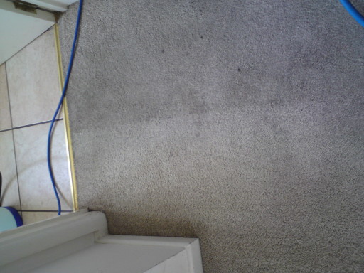 Greasy soil near kitchen door,1st pass of wand