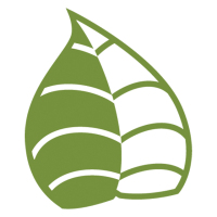 Japanese Knotweed Management