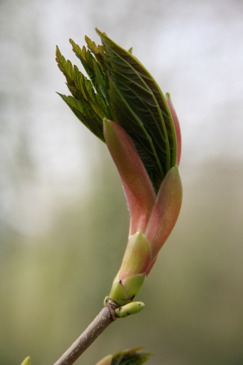 New beginnings by Ruth Baker