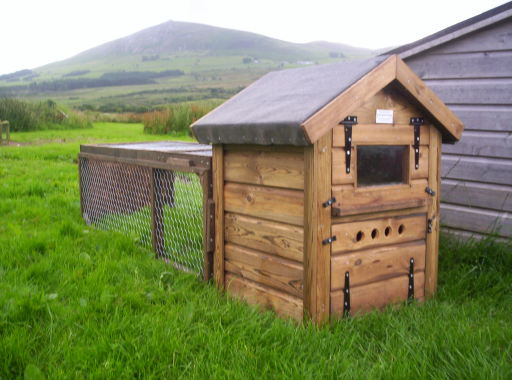 Cat Home