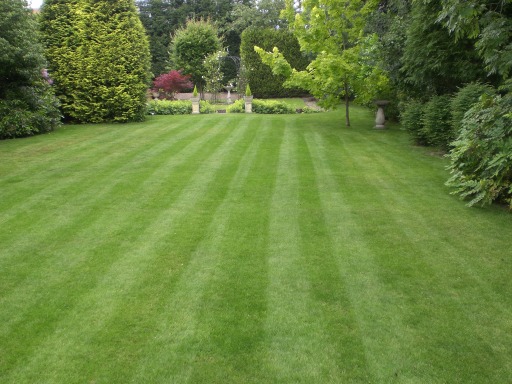 10 weeks later - after renovation