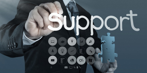 IT Business Support