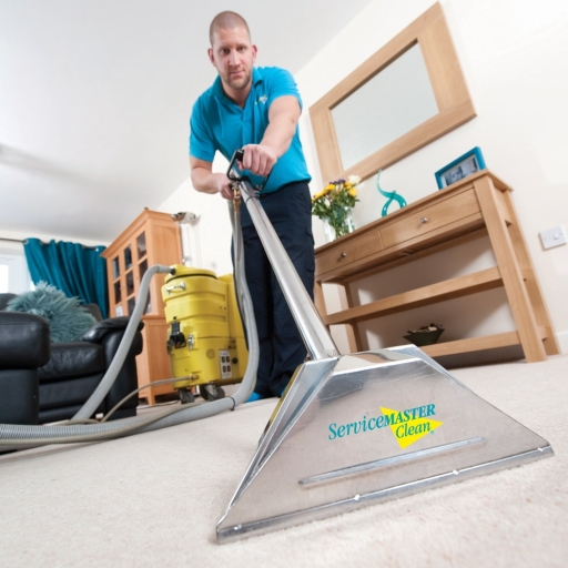 Professional Carpet Cleaning.