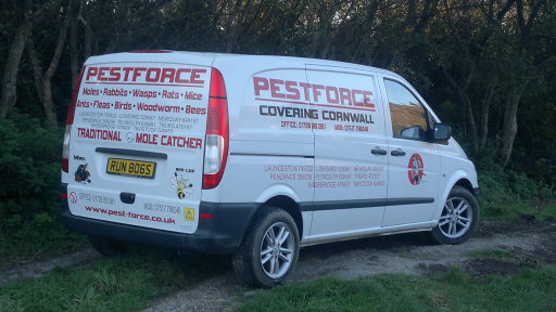 Vehicles clean and tidy for a good profile image.