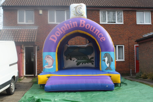 Dolphin Bounce