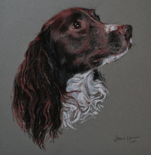 Commissioned portrait in pastel 'Jessie'