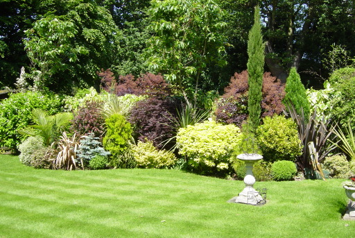 West Byfleet Gardener