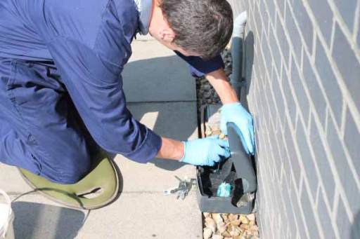 Commercial Pest Control