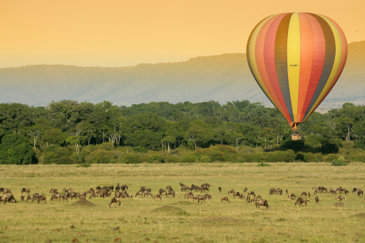 Kenia Safari - africalastminute.com