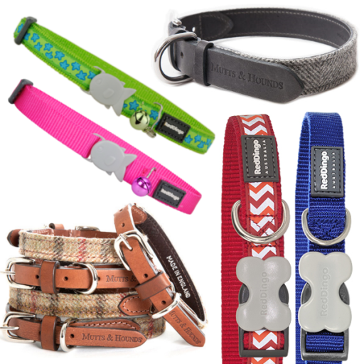 beautiful dog and cat collars on our online store
