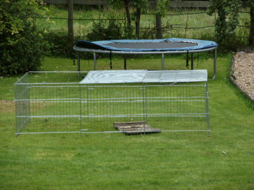 Rabbit boarding Redditch