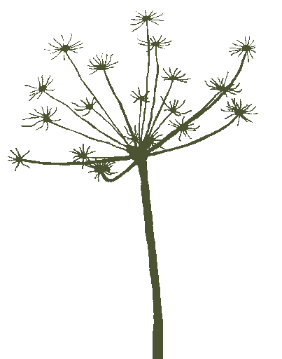 The Foxham Inn Logo