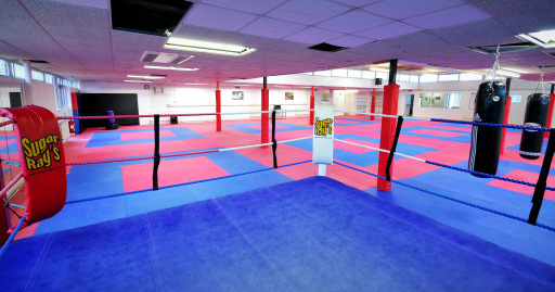 View From Ring