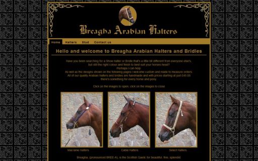 Breagha Arabian Halters
