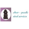 Poodle Stud Services