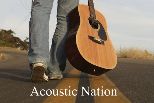 Acoustic Nation Guitar Sales
