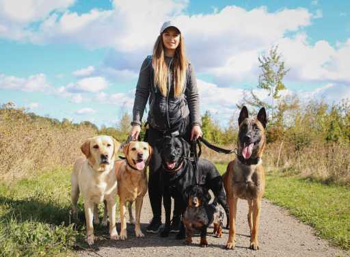 dog walker bedford