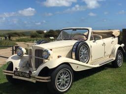 The Beauford