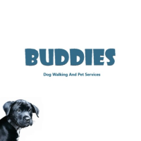 Buddies Dog Walking And Pet Services