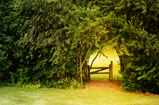 The Essential Pleasure - Progressive Relaxation - Simple and Effective deep relaxation.