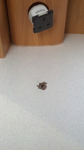 Caravan Worktop dent repair in progress