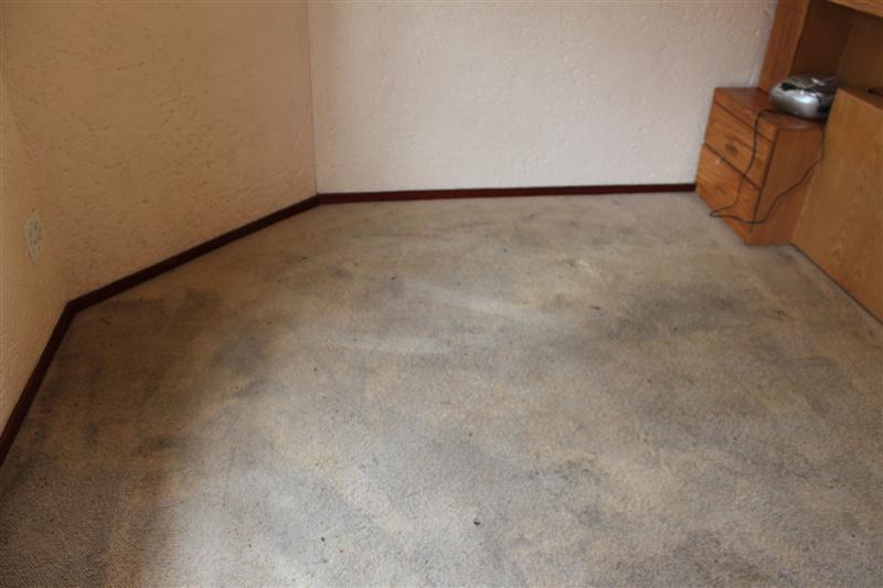 DRY CARPET CLEANERS NORWOOD RD, CAPE TOWN, 7441