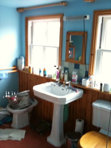 Bathroom - Before...