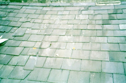 roof before