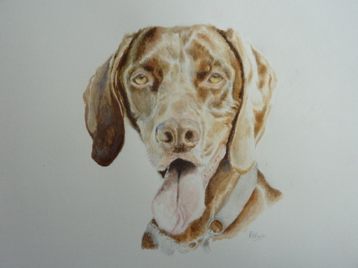 Dog portrait commission in watercolour and pastel