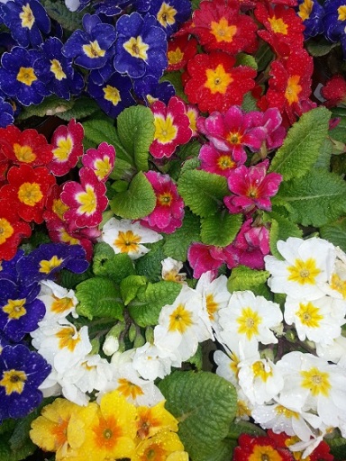 image0