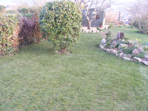 finished laying of turf
