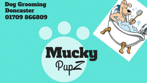 Mucky Pupz Dog Grooming, Edlington, Doncaster