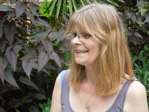 Bev Darke Counselling &amp; Advanced Hypnotherapy