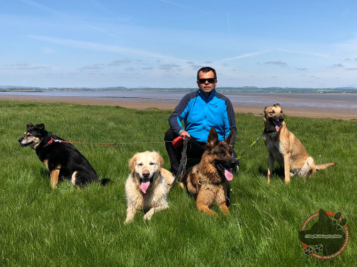#DogWalkingCarlisle