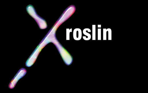 Roslin Design: The Edinburgh Website Designers