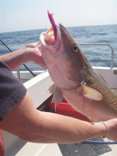 Red Gill Fishing Lures - Bubblegum Pink Evolution Sand Eel