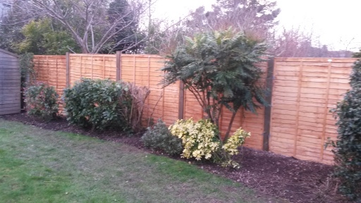 Panel fencing in Exeter