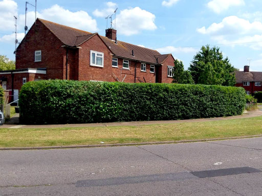 Hedge trimming and lawn mowing