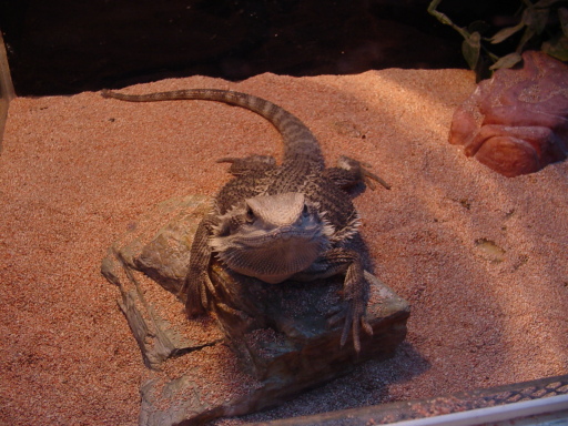 image0