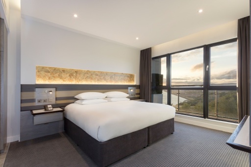 King Guest Room