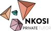 Nkosi, Private Tutor Logo
