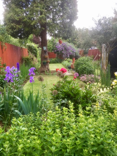 Garden Care