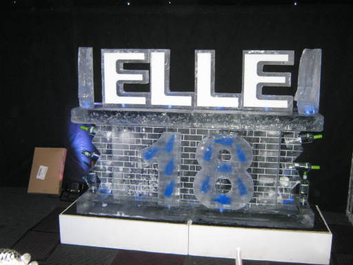 21st birthday party ice bar for Elle