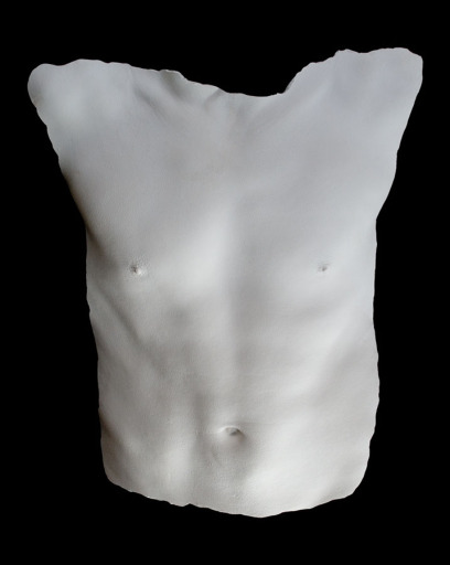 Male torso - white plaster cast