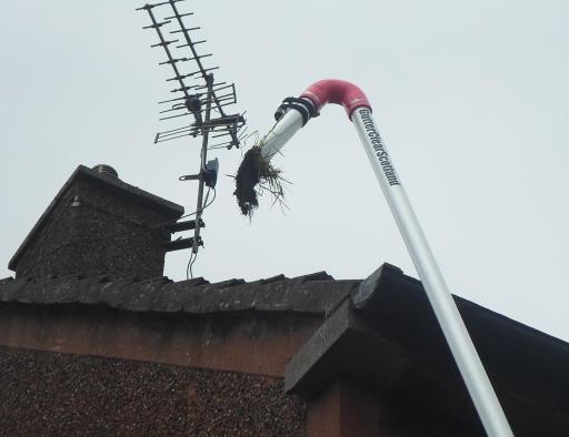 weed removal